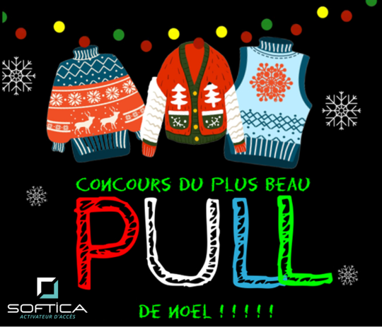 R sultats de l Election du plus beau pull de No l Softica