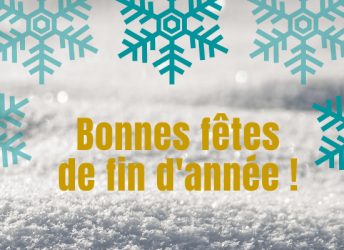 Joyeuses fêtes de fin d'année et fermeture